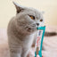 Inaba Churu — foto oficial de la gama para gatos