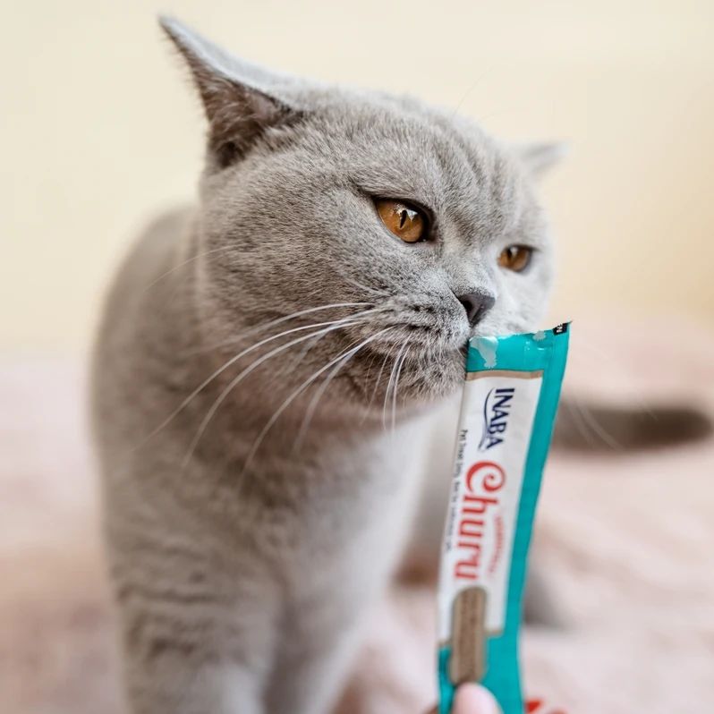 Inaba Churu — foto oficial de la gama para gatos