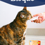 Inaba Churu Bisque | Complemento húmedo para gatos sabor pollo con carne — foto oficial INABA Churu