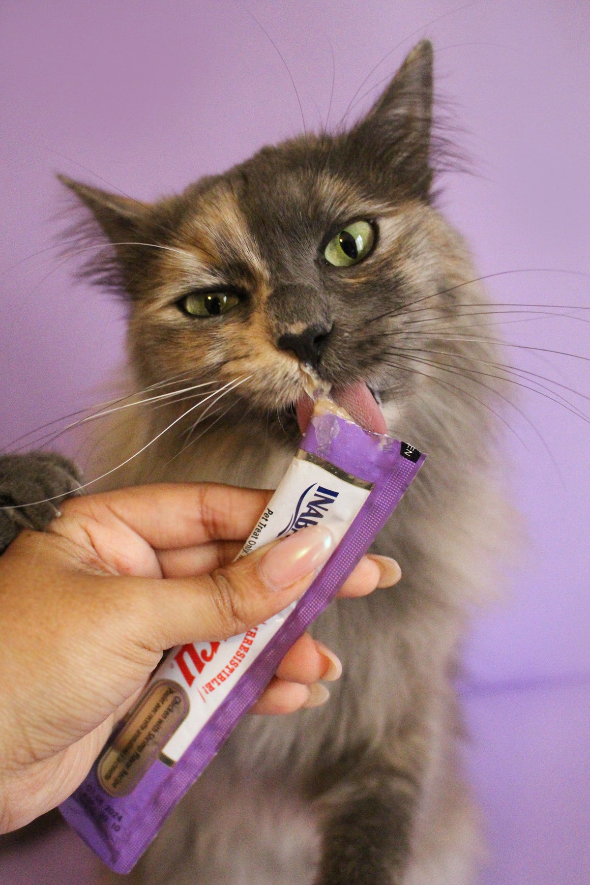 Inaba Churu | Premio cremoso para gatos sabor pollo con camarón — foto oficial INABA Churu