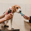 Inaba Churu | Premio cremoso para perros sabor pollo con vegetales — foto oficial INABA Churu