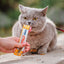 Inaba Churu | Premio cremoso para gatos sabor pollo — foto oficial INABA Churu