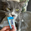 Inaba Churu | Premio cremoso para gatos sabor atún con ostión — foto oficial INABA Churu