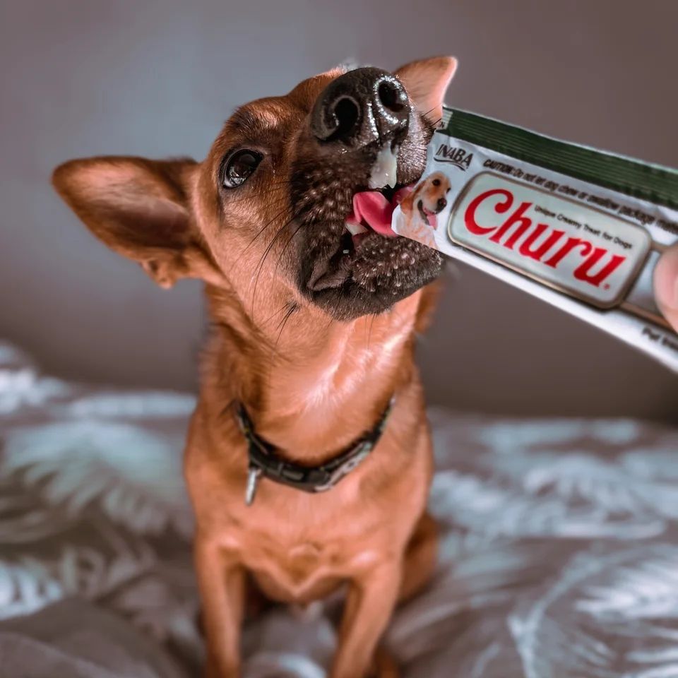 Inaba Churu — foto oficial de la gama para perros