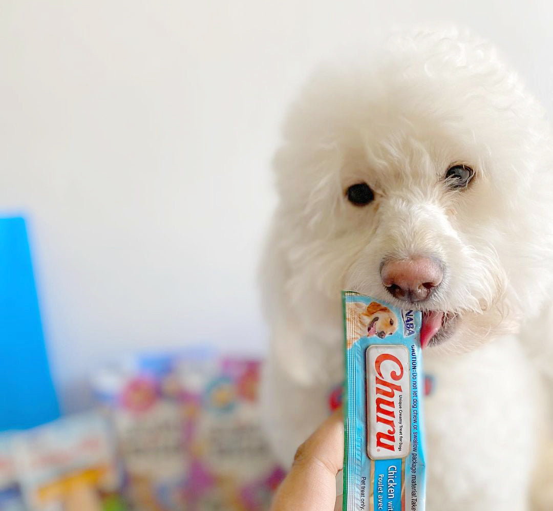 Inaba Churu — foto oficial de la gama para perros