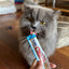 Inaba Churu | Premio cremoso para gatos sabor atún con ostión — foto oficial INABA Churu