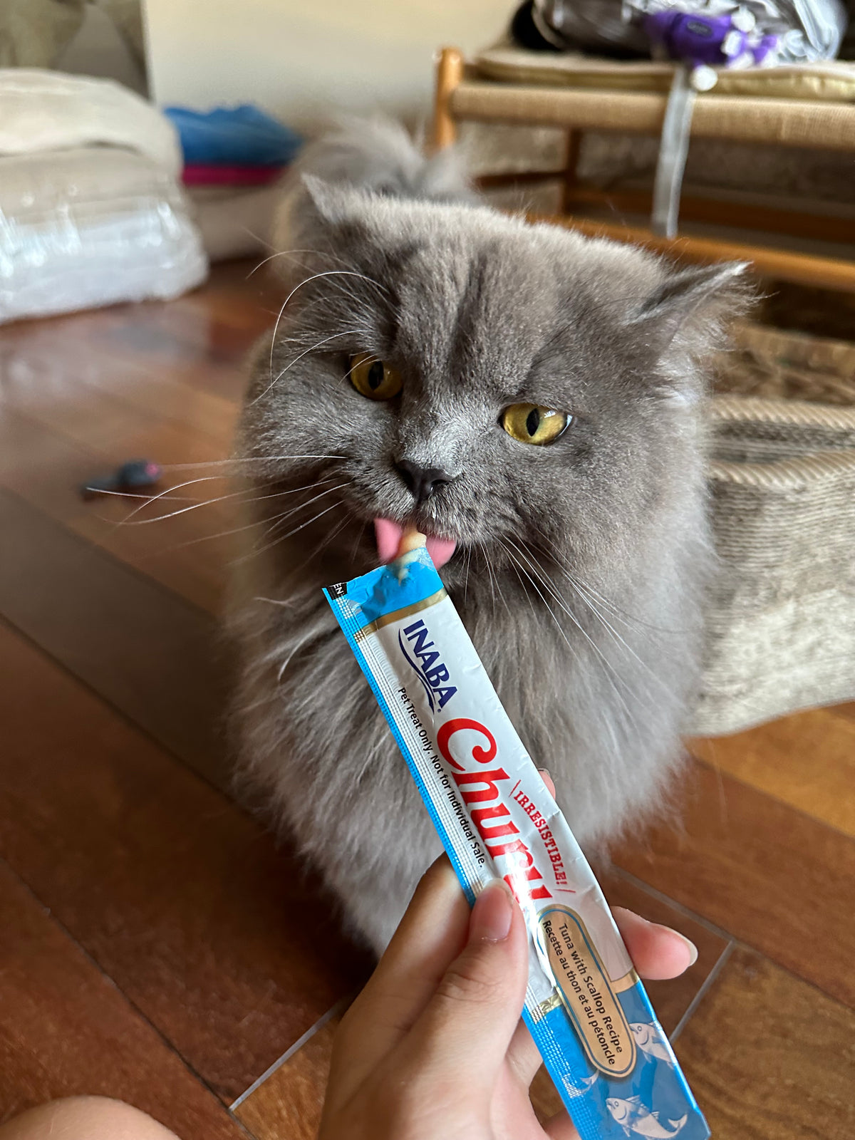 Inaba Churu | Premio cremoso para gatos sabor atún con ostión — foto oficial INABA Churu