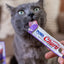 Inaba Churu — foto oficial de la gama para gatos