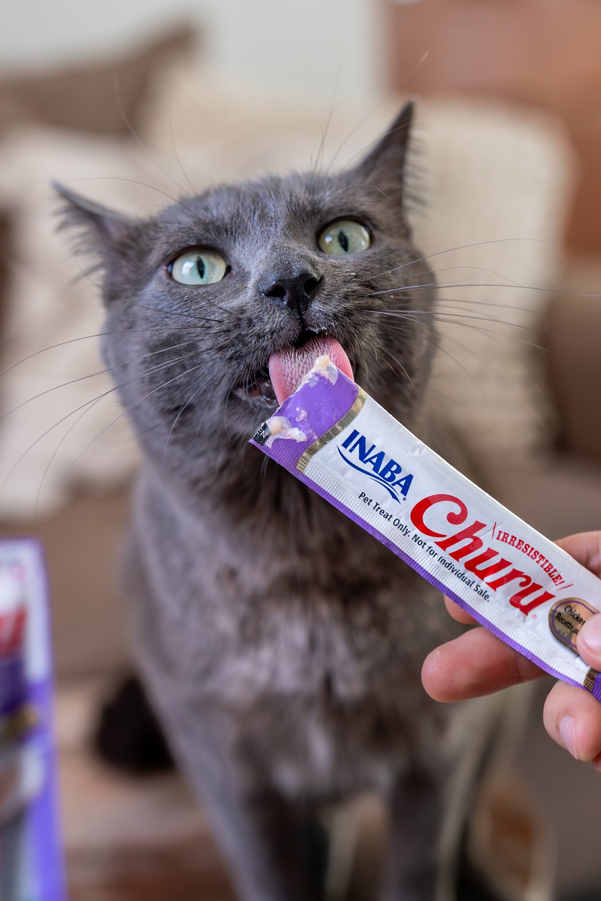 Inaba Churu — foto oficial de la gama para gatos