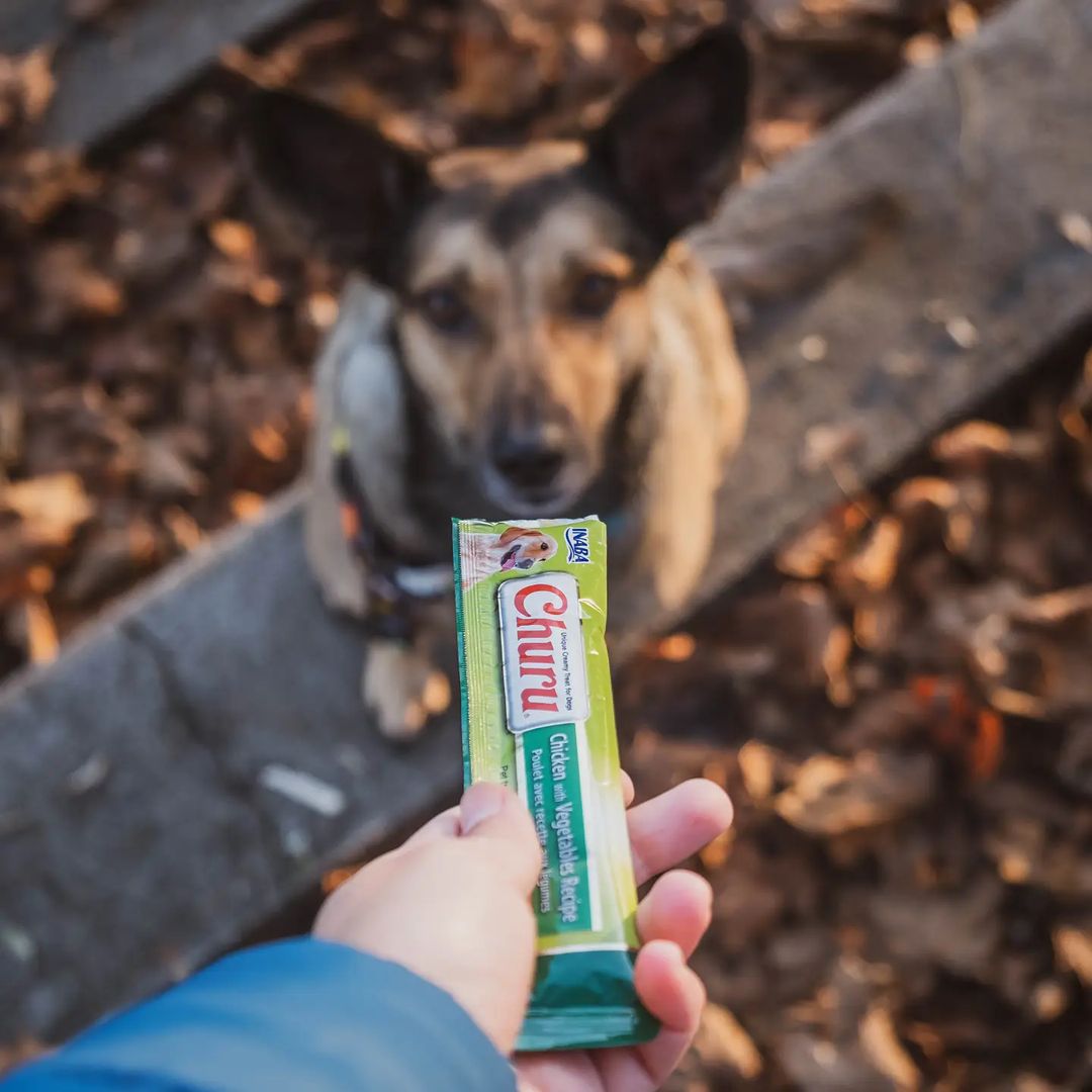 Inaba Churu | Premio cremoso para perros sabor pollo con vegetales — foto oficial INABA Churu