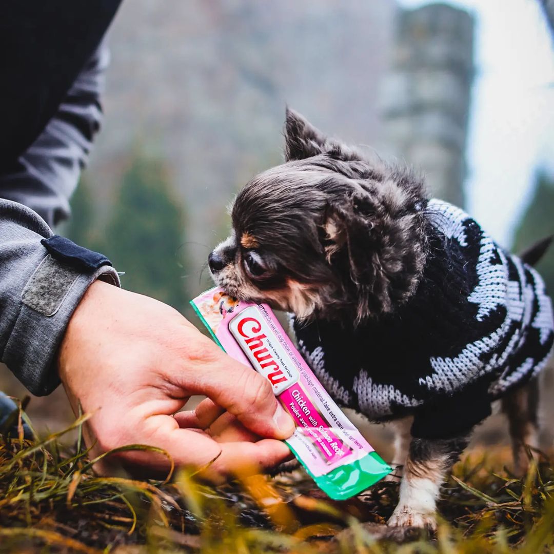 Inaba Churu | Premio cremoso para perros sabor pollo con salmón — foto oficial INABA Churu