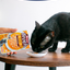 Inaba Churu Broth | Complemento húmedo para gatos sabor pollo — foto oficial INABA Churu