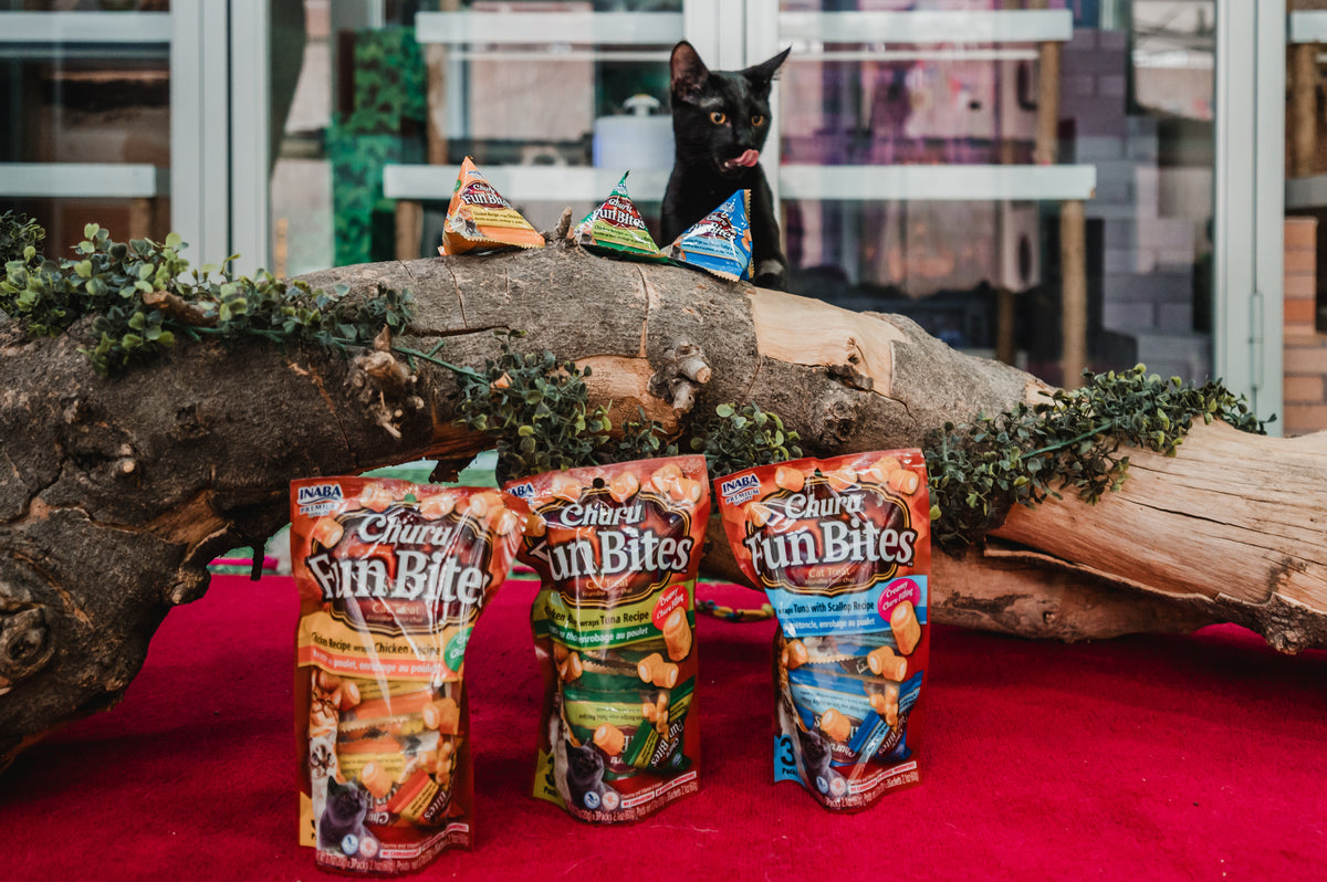 Inaba Churu Fun Bites — foto oficial de la gama para gatos