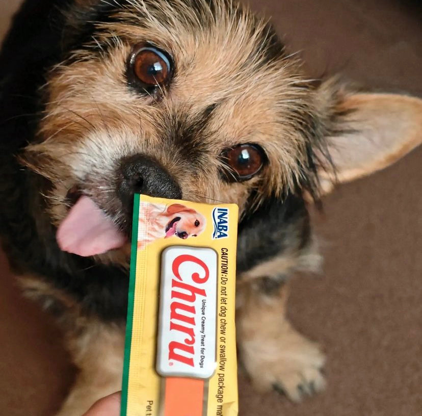 Inaba Churu | Premio cremoso para perros sabor pollo — foto oficial INABA Churu
