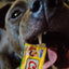 Inaba Churu | Premio cremoso para perros sabor pollo — foto oficial INABA Churu