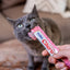 Inaba Churu — foto oficial de la gama para gatos