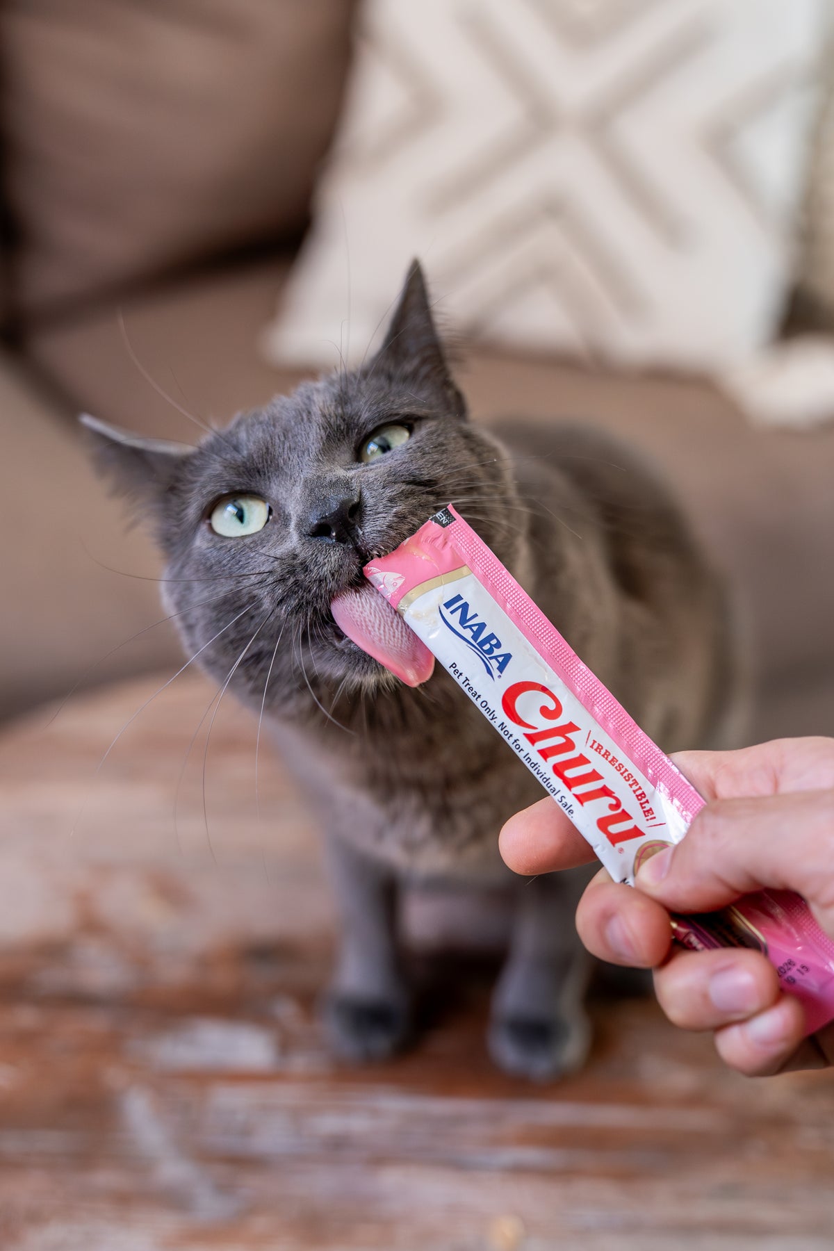 Inaba Churu — foto oficial de la gama para gatos