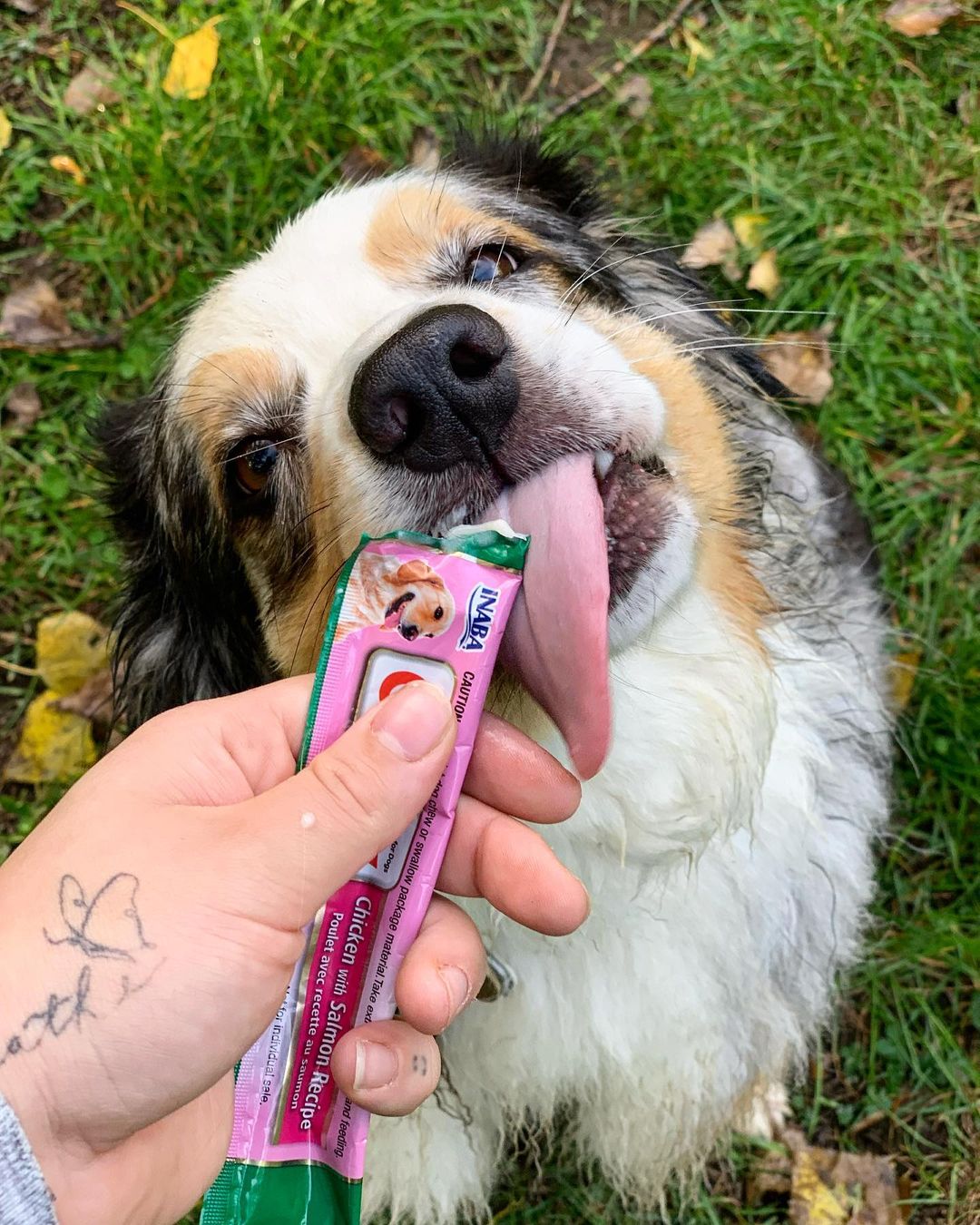 Inaba Churu | Premio cremoso para perros sabor pollo con salmón — foto oficial INABA Churu