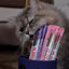 Inaba Churu — foto oficial de la gama para gatos