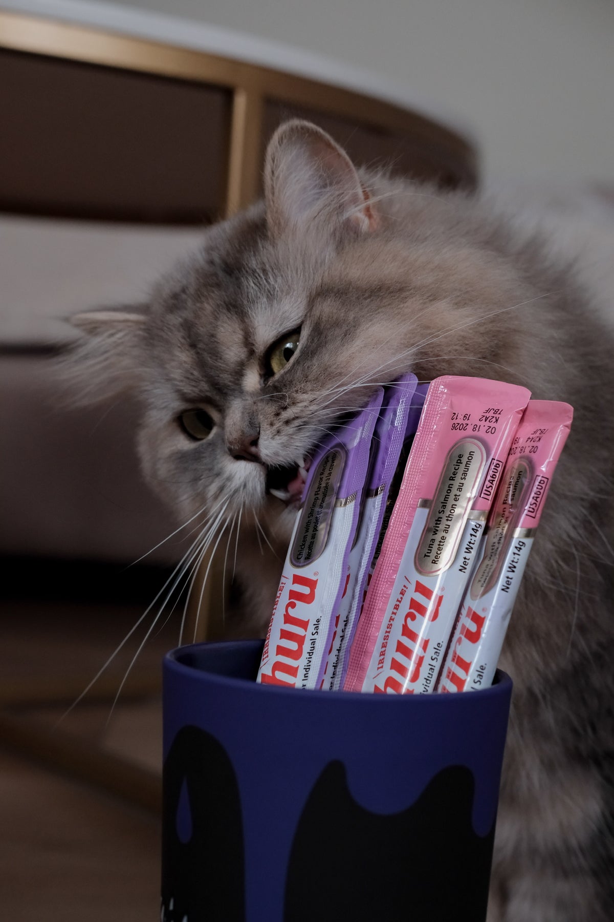 Inaba Churu — foto oficial de la gama para gatos
