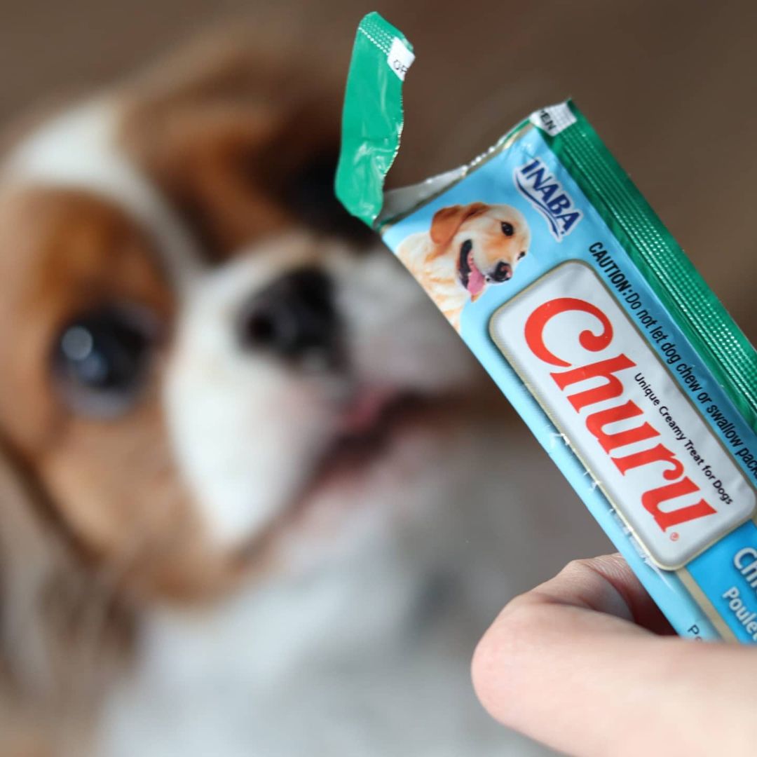 Inaba Churu — foto oficial de la gama para perros