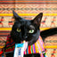 Inaba Churu — foto oficial de la gama para gatos