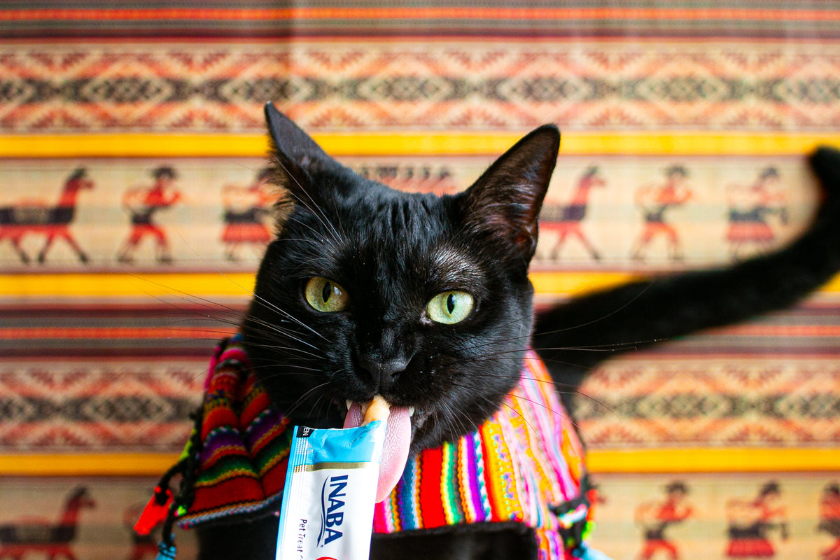 Inaba Churu — foto oficial de la gama para gatos