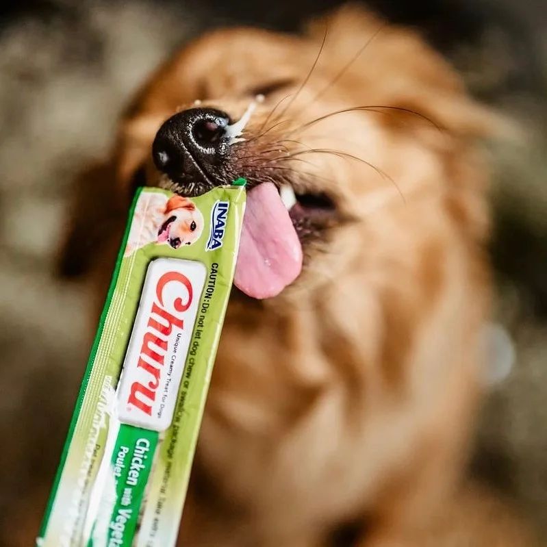 Inaba Churu | Premio cremoso para perros sabor pollo con vegetales — foto oficial INABA Churu