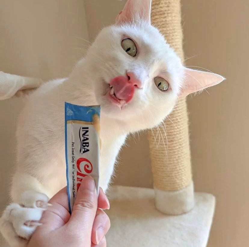 Inaba Churu — foto oficial de la gama para gatos