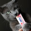 Inaba Churu — foto oficial de la gama para gatos