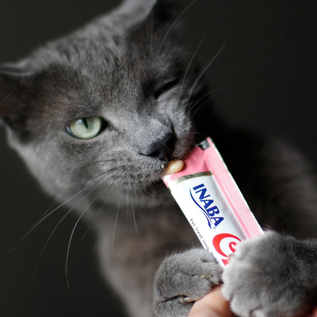Inaba Churu — foto oficial de la gama para gatos
