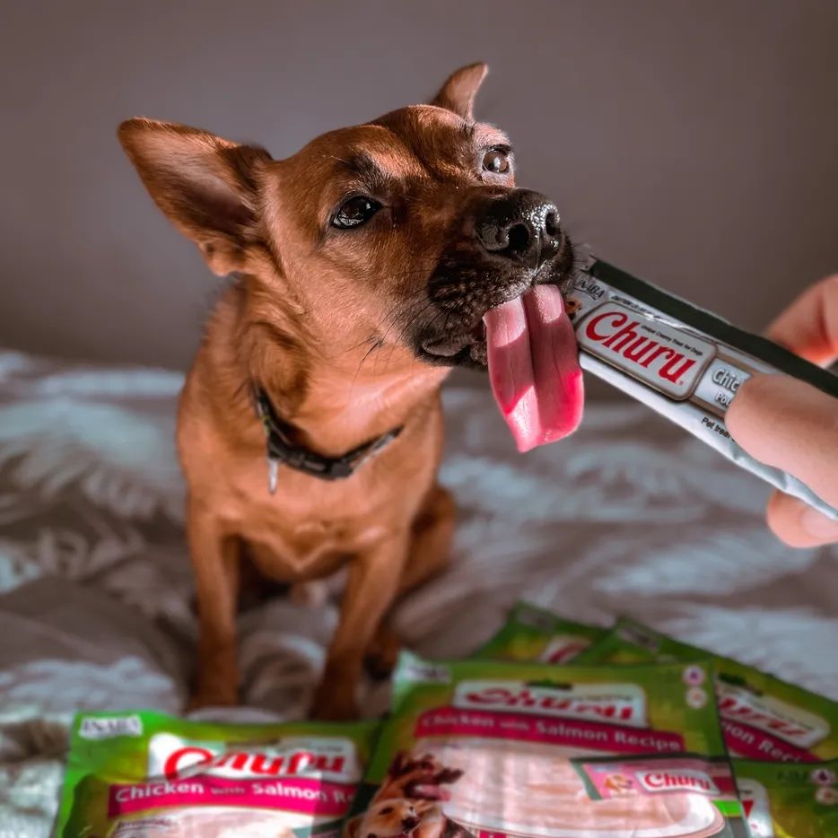 Inaba Churu | Premio cremoso para perros sabor pollo con salmón — foto oficial INABA Churu