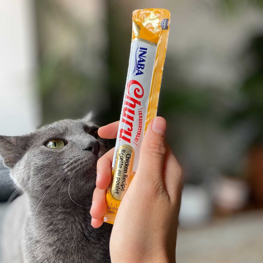 Inaba Churu | Premio cremoso para gatos sabor pollo — foto oficial INABA Churu