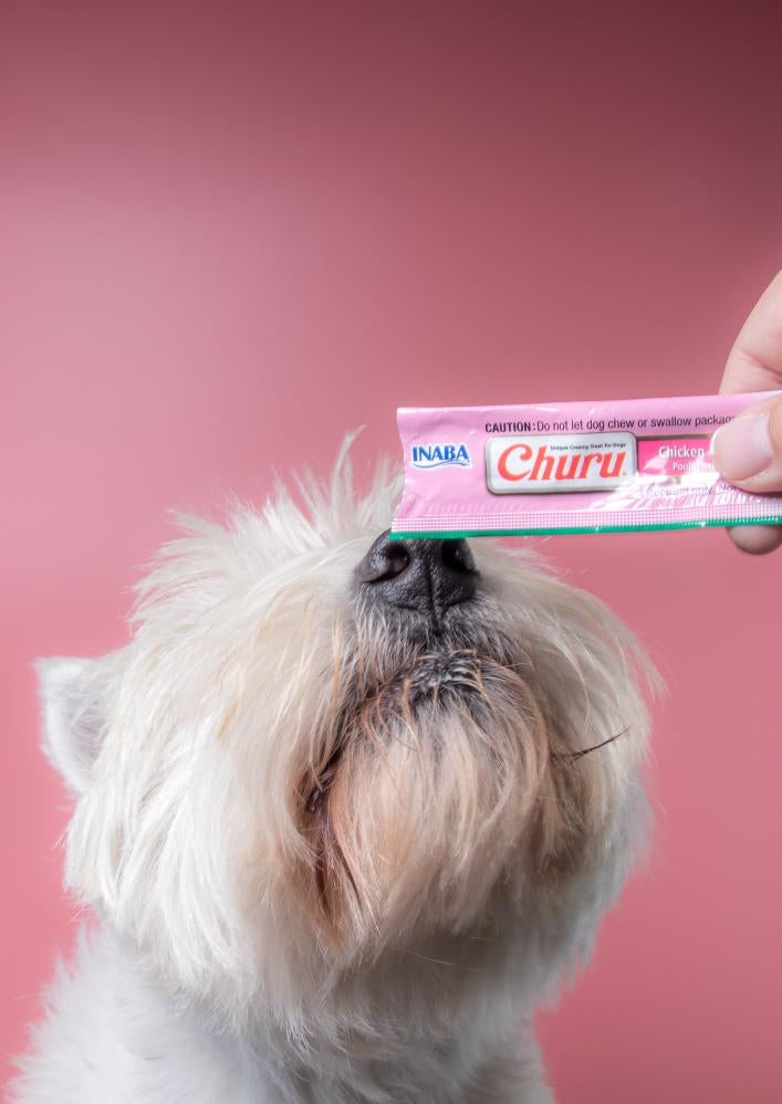 Inaba Churu | Premio cremoso para perros sabor pollo con salmón — foto oficial INABA Churu