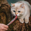 Inaba Churu — foto oficial de la gama para gatos