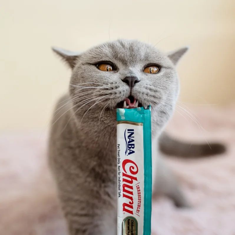 Inaba Churu — foto oficial de la gama para gatos