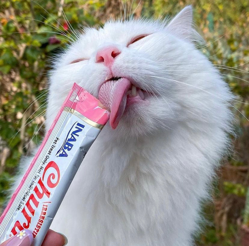 Inaba Churu — foto oficial de la gama para gatos