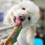 Inaba Churu | Premio cremoso para perros sabor pollo — foto oficial INABA Churu