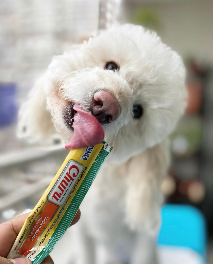 Inaba Churu | Premio cremoso para perros sabor pollo — foto oficial INABA Churu