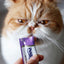 Inaba Churu — foto oficial de la gama para gatos