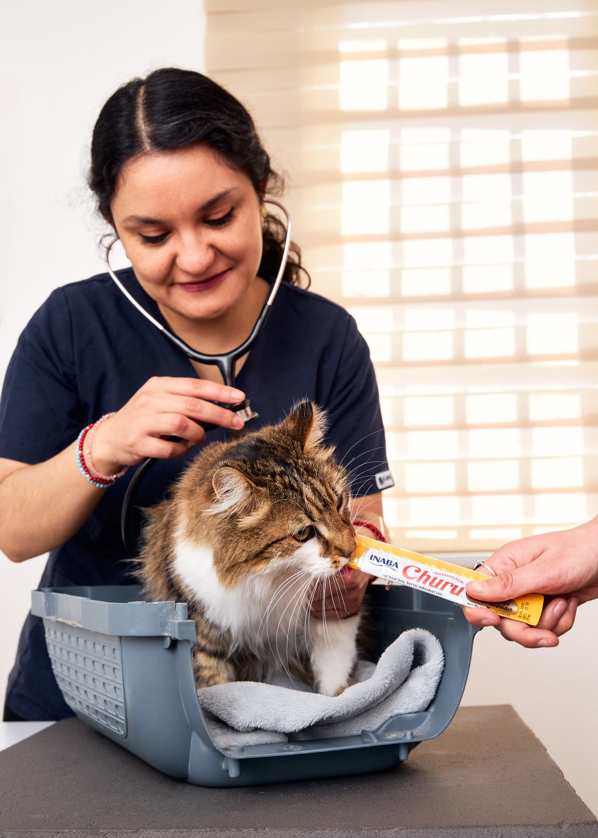 Inaba Churu — foto oficial de la gama para gatos