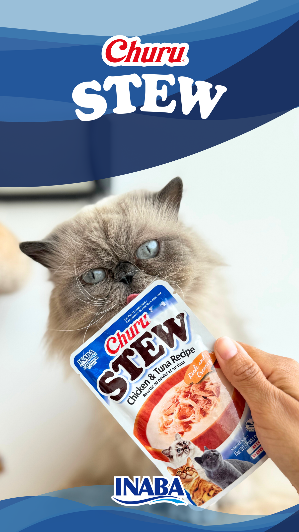 Inaba Churu Stew | Complemento húmedo para gatos sabor pollo con atún — foto oficial INABA Churu