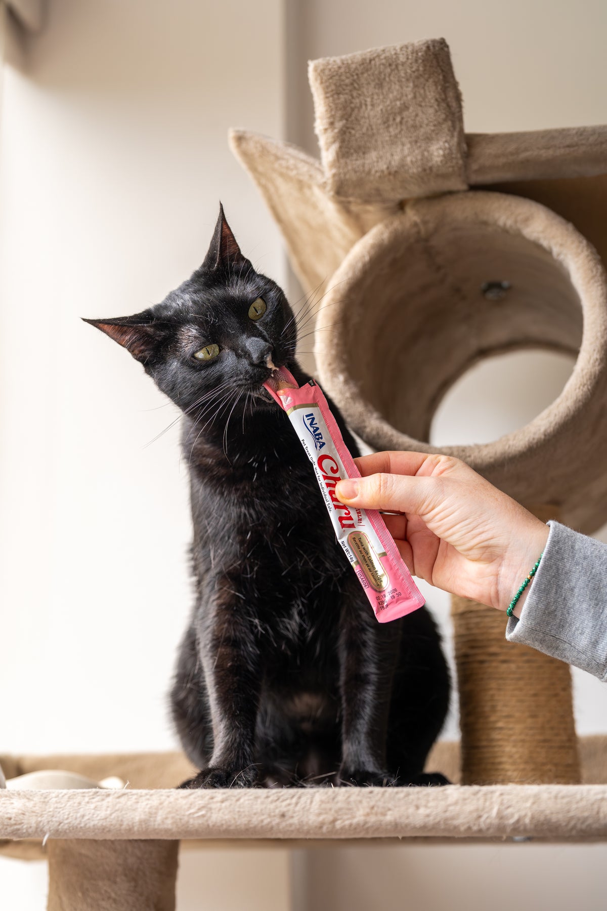Inaba Churu | Premio cremoso para gatos sabor atún con salmón — foto oficial INABA Churu