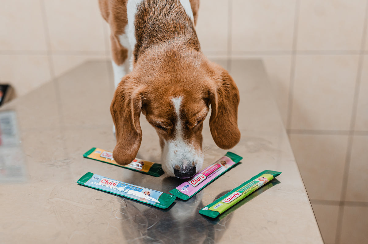 Inaba Churu — foto oficial de la gama para perros