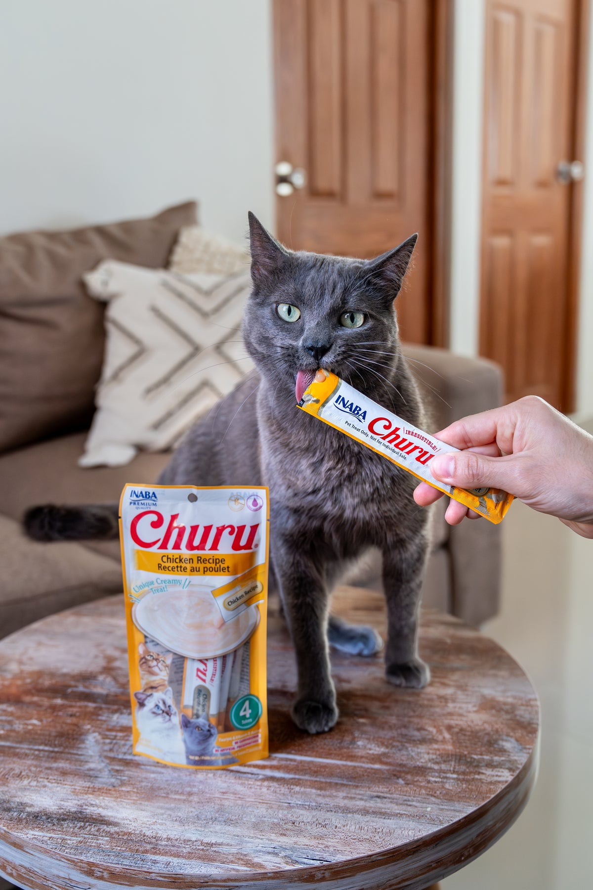 Inaba Churu | Premio cremoso para gatos sabor pollo — foto oficial INABA Churu