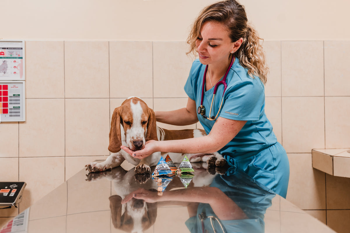 Inaba Churu — foto oficial de la gama para perros