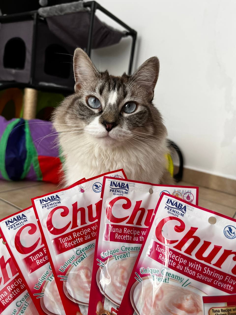Inaba Churu | Premio cremoso para gatos sabor atún con camarón — foto oficial INABA Churu