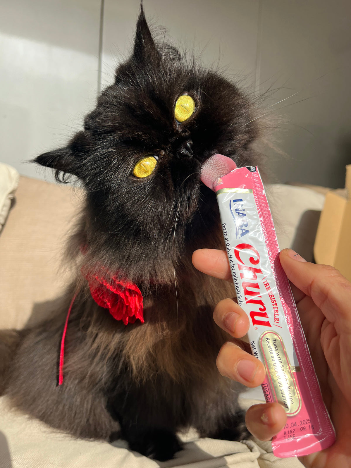 Inaba Churu | Premio cremoso para gatos sabor atún con salmón — foto oficial INABA Churu