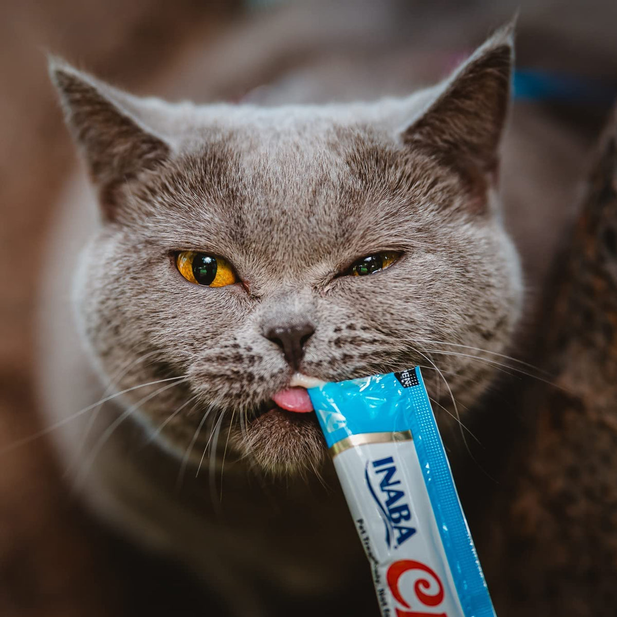 Inaba Churu — foto oficial de la gama para gatos