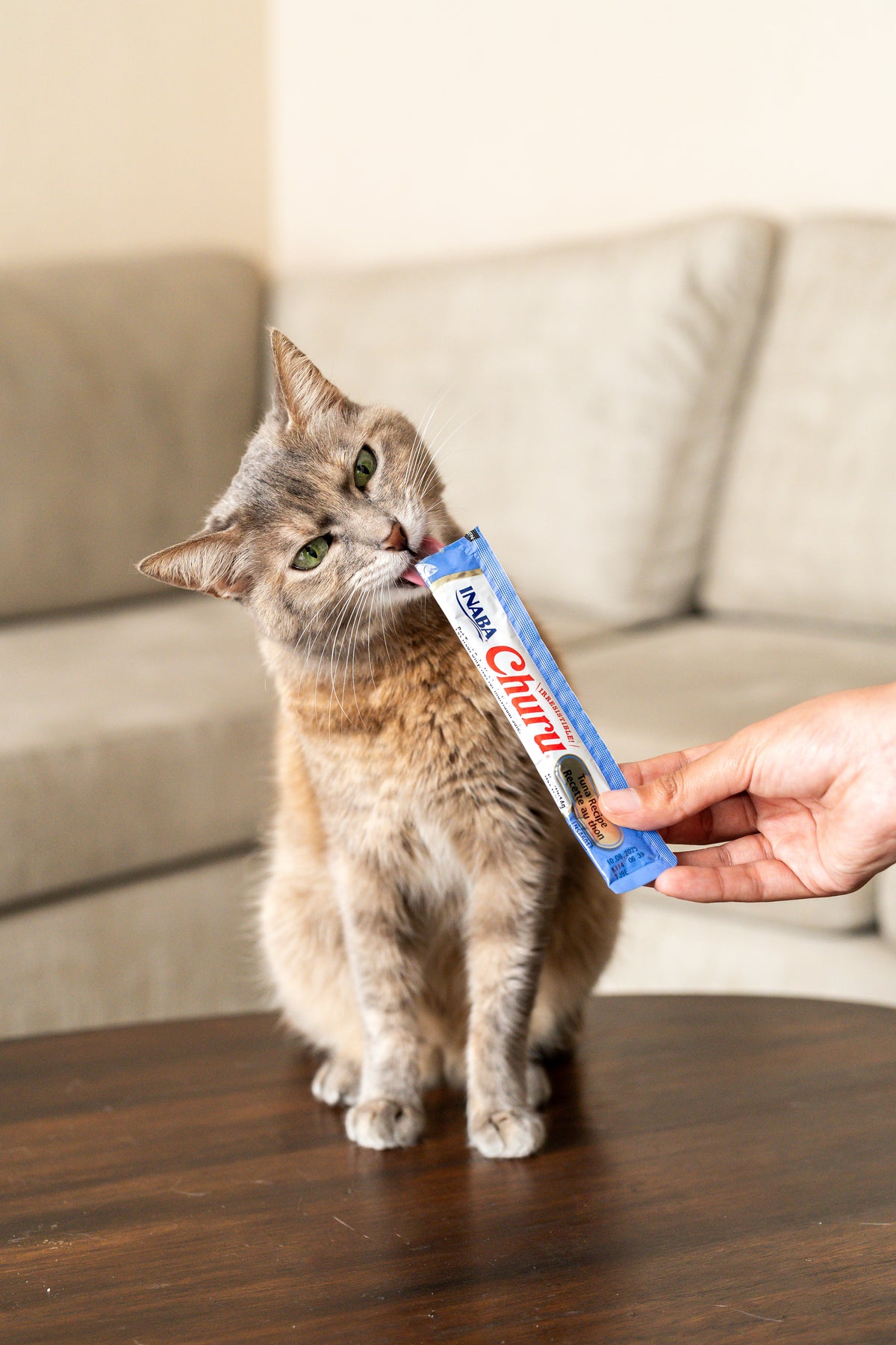 Inaba Churu | Premio cremoso para gatos sabor atún — foto oficial INABA Churu